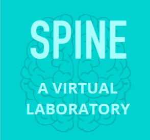 Spine Logo