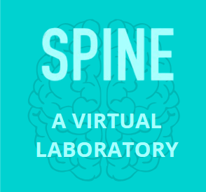 spine Logo